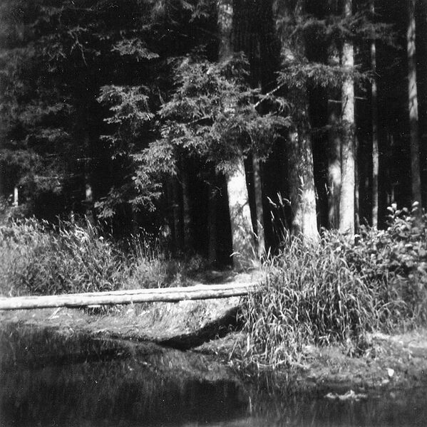 Datei:Goaßreibn 1934 Badeplatz in der Menach.jpeg