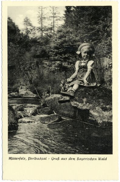 Datei:Postkartenbuch Mitterfels 07 Perlbachtal um 1960.jpg